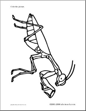 Coloring page praying mantis