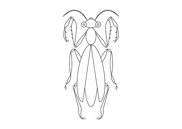 Premium vector black and white praying mantis clipart coloring page of a grasshopper