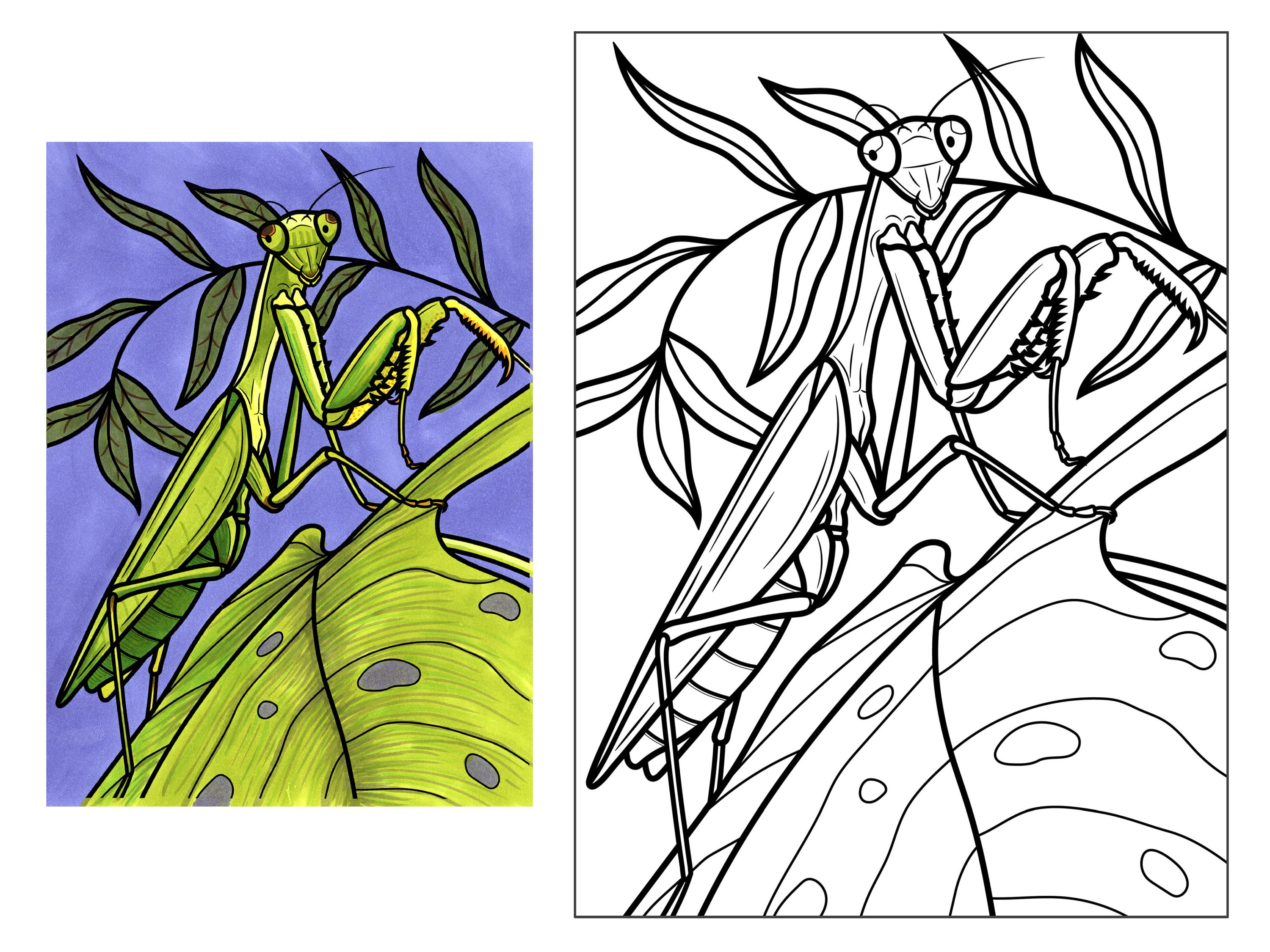 X kids insect coloring poster manny the praying mantis child diy wall art kids coloring activity