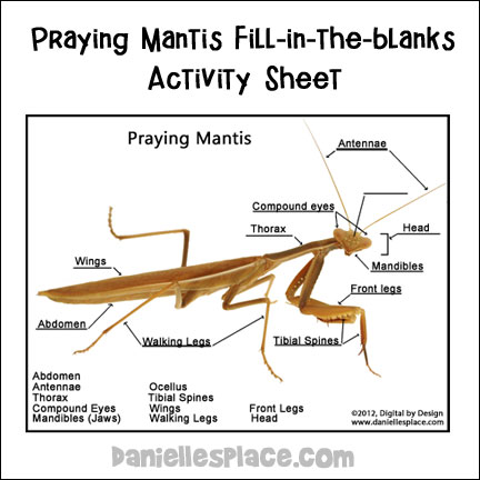 Praying mantis crfts and learning activities