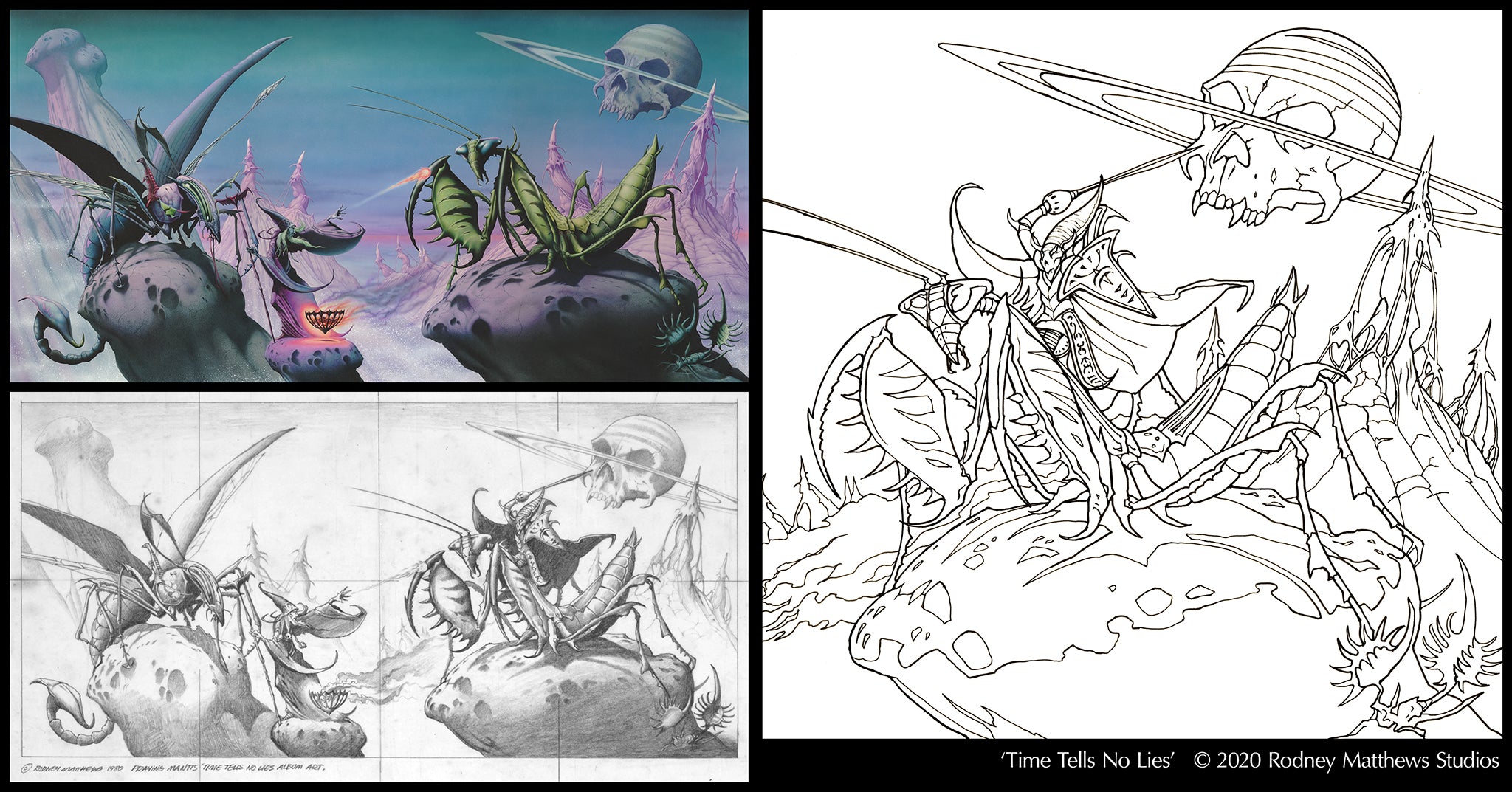 Free praying mantis colouring sheet and petition â rodney matthews studios