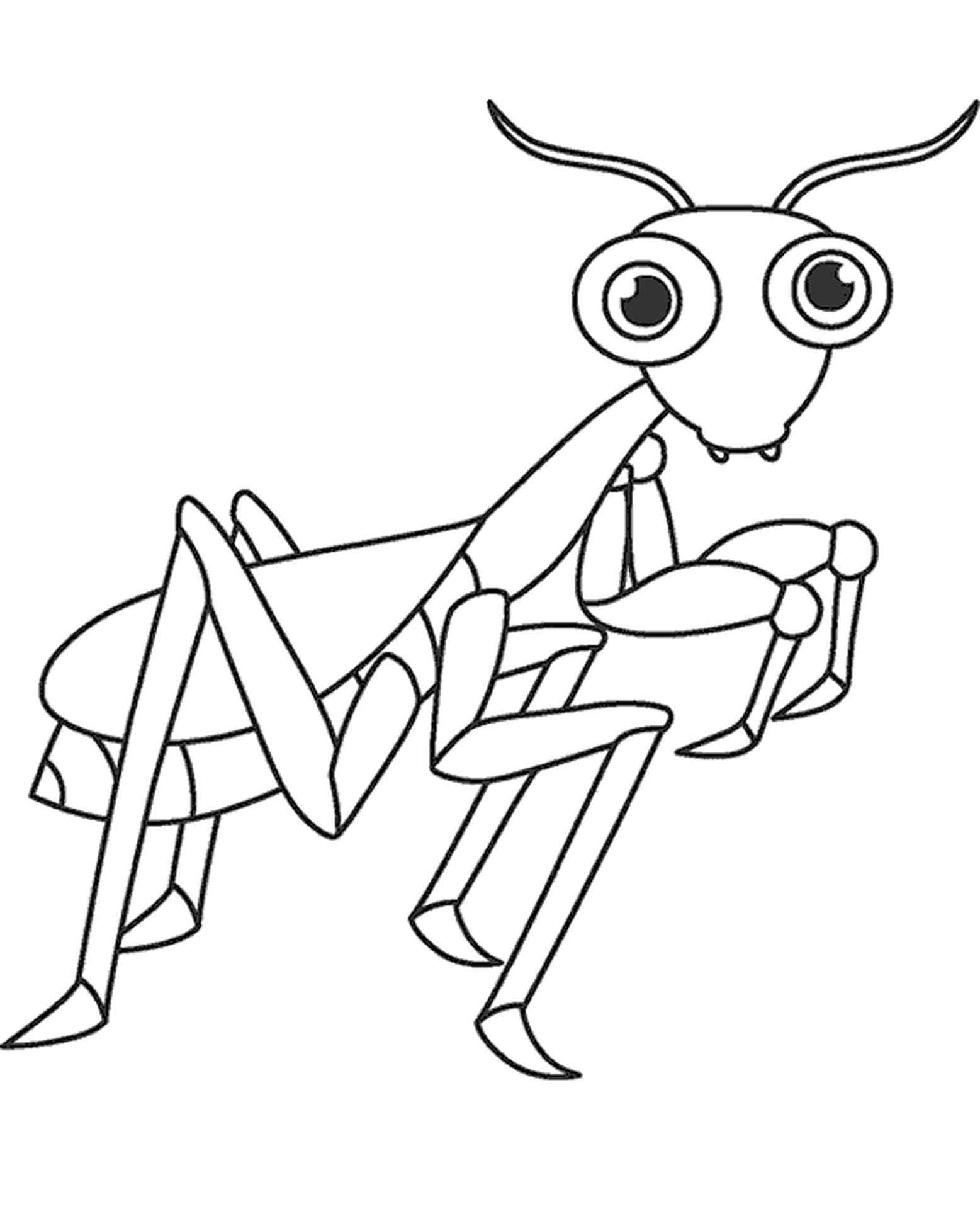 Cute mantis coloring page