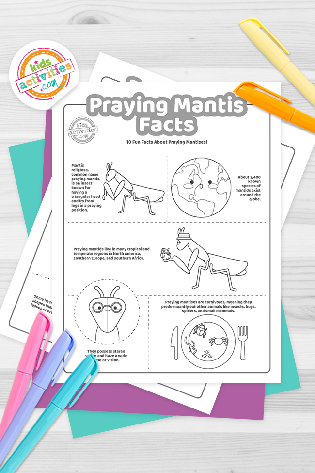 Praying mantis facts for curious kids kids activities blog