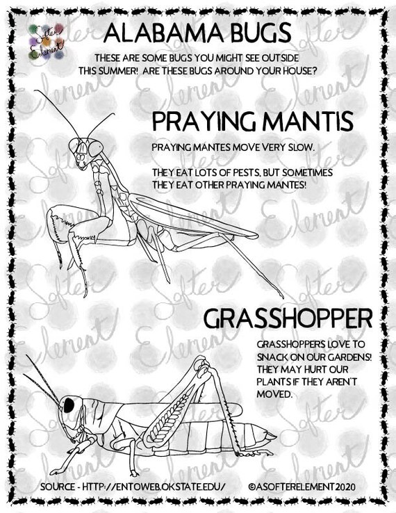 Nature coloring pages alabama bugs praying mantis