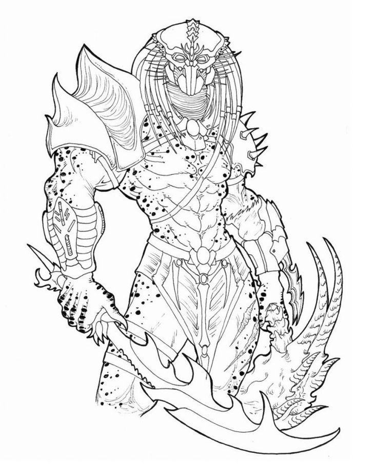 Predator coloring pages for students educative printable predator artwork coloring pages predator art
