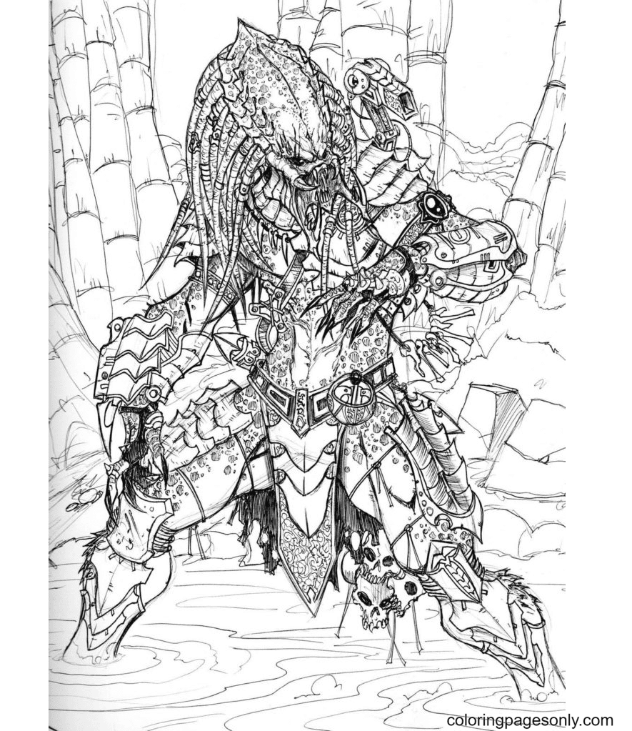 Predator coloring pages