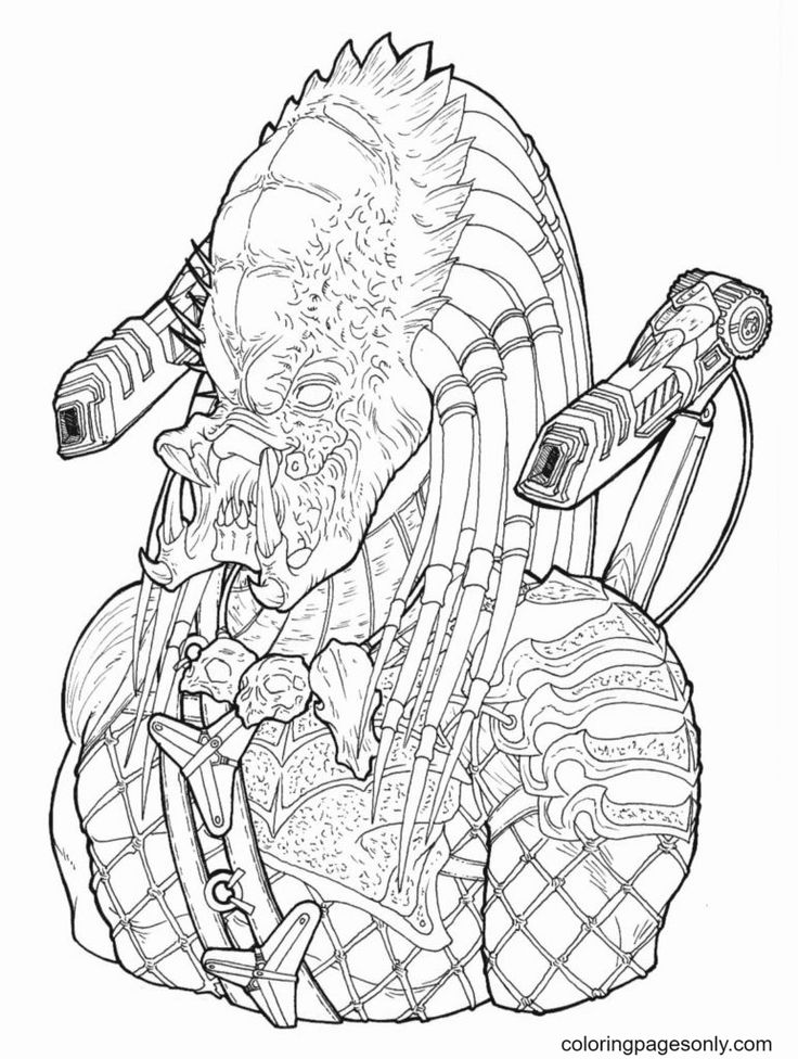 Predator coloring pages