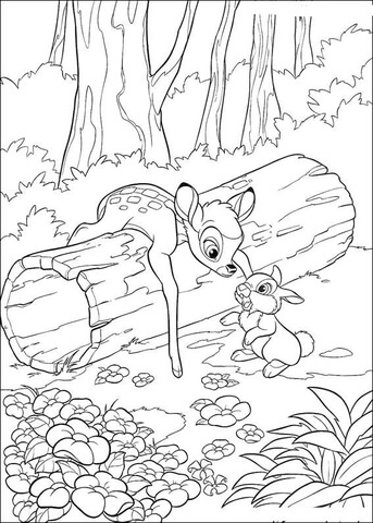 Dibujo de tambor pregunta a bambi para colorear dibujos para colorear imprimir gratis