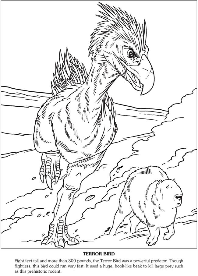 Wele to dover publications coloring pages prehistoric animals adult coloring mandalas