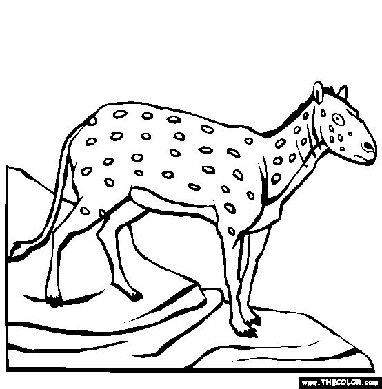 Free prehistoric mammals coloring pages color in this picture of an eohippus and others with our libâ online coloring coloring pages online coloring pages