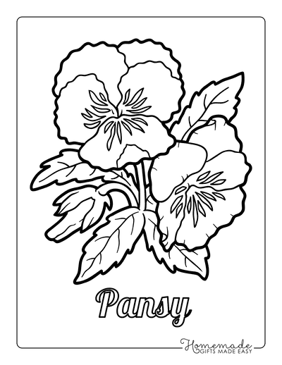 Free flower coloring pages for kids adults