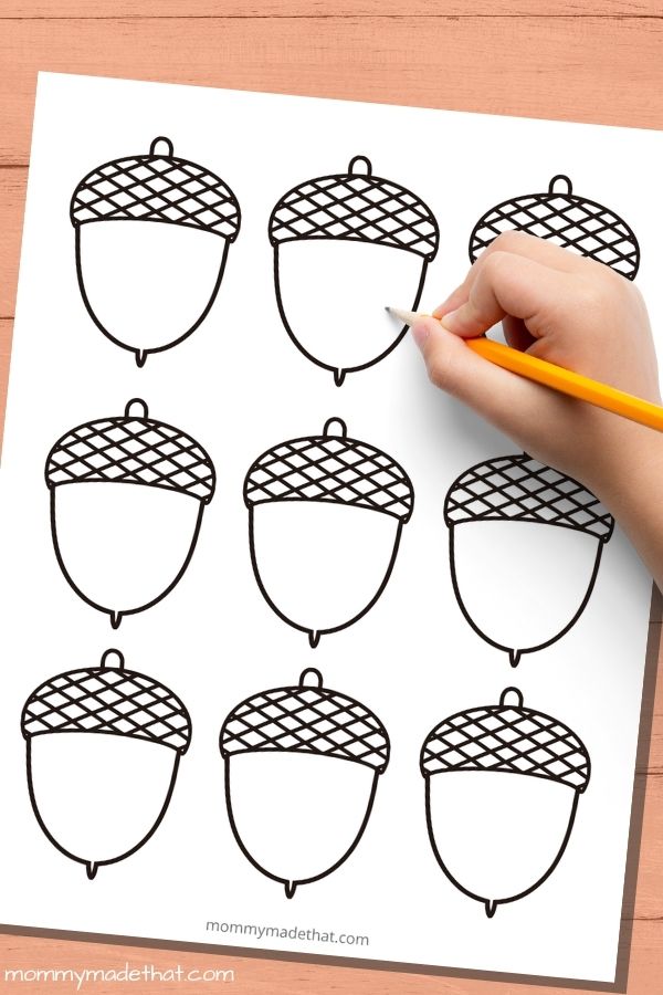 Free acorn template printables