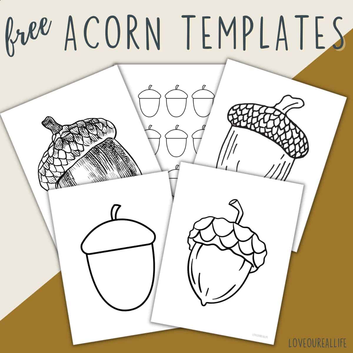 Free acorn template printables