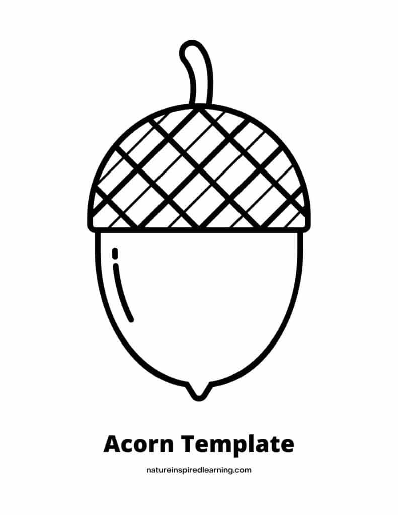 Acorn coloring pages perfect for autumn