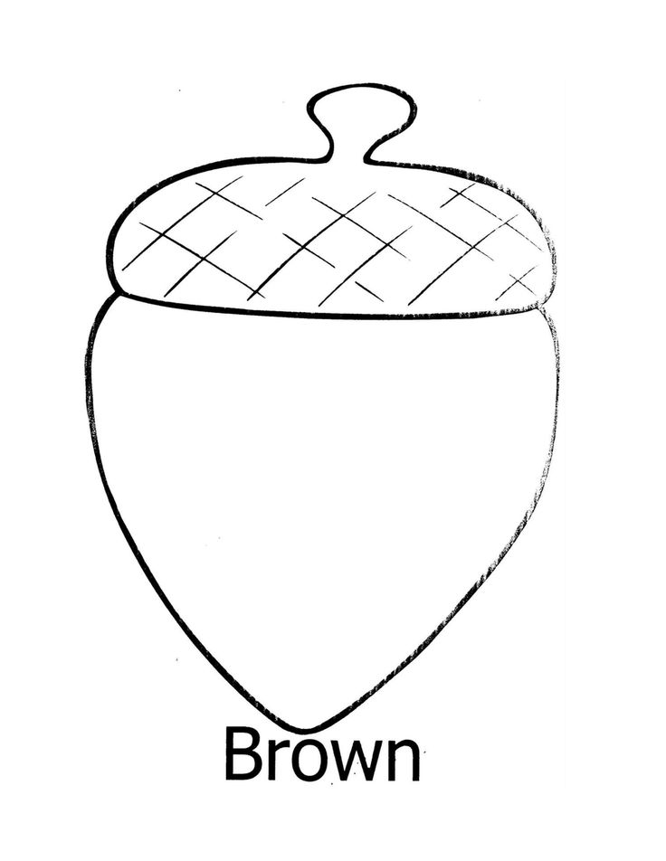 Preschool acorn template coloring pages engagement activities templates