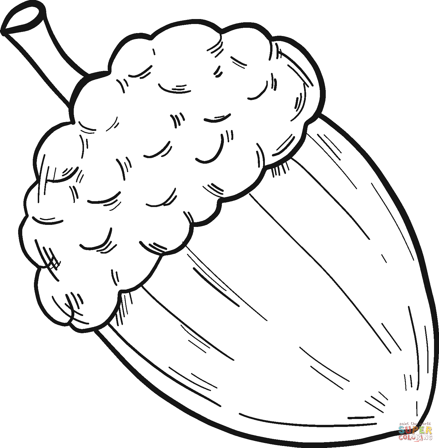 Acorn coloring page free printable coloring pages