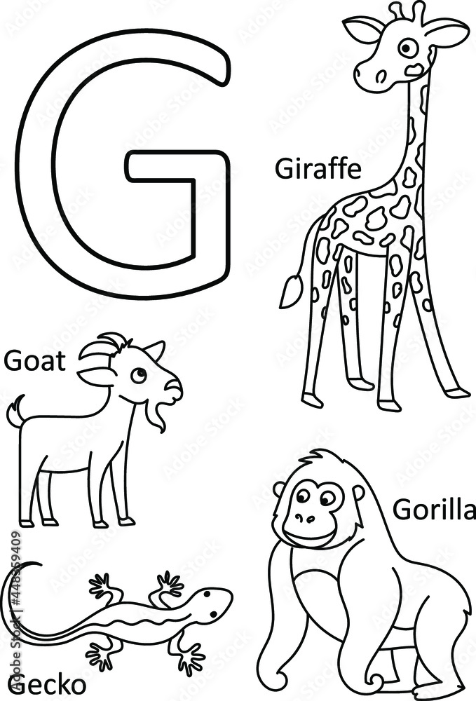 G animals names alphabet coloring for kids alphabet animals coloring page abc coloring preschool education vector