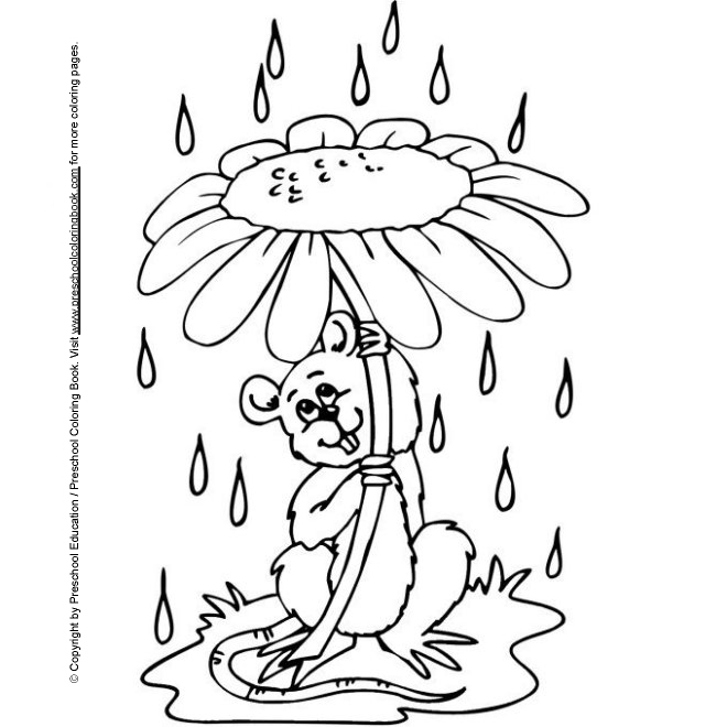 Www spring coloring page