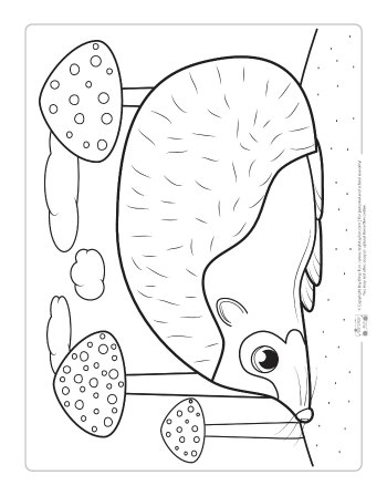 Fall coloring pages for kids