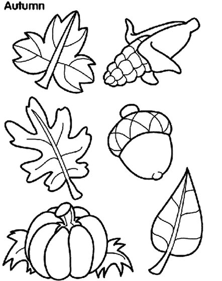 Autumn leaves coloring page