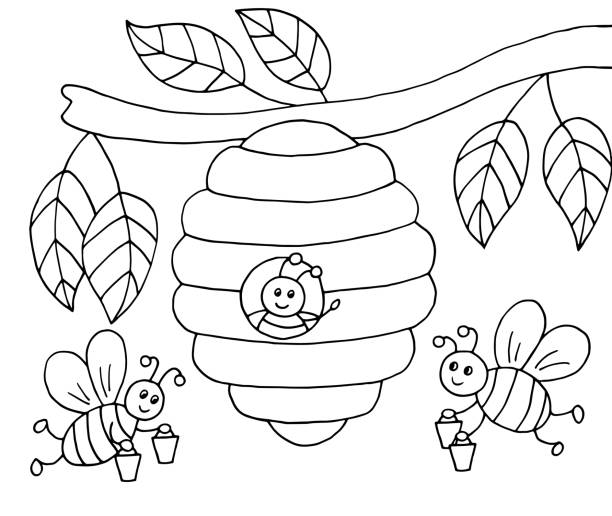 Bee coloring pages pictures stock illustrations royalty