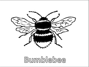 Bee coloring pages free to download and print