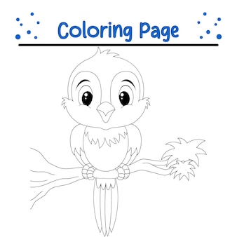 Page preschool bird nest coloring page images