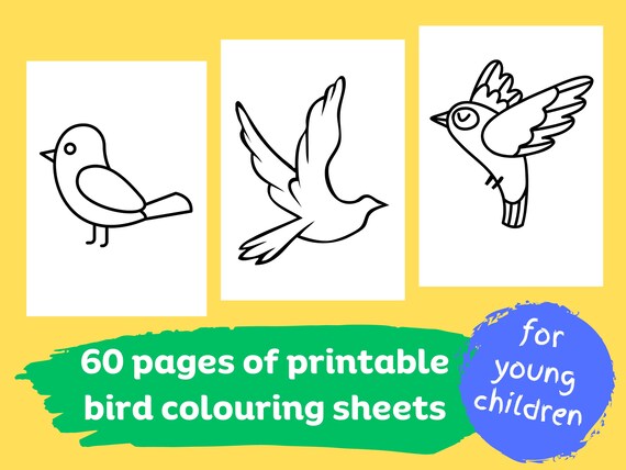 Page a printable bird colouring coloring sheets for kids homeschool preschool elementary