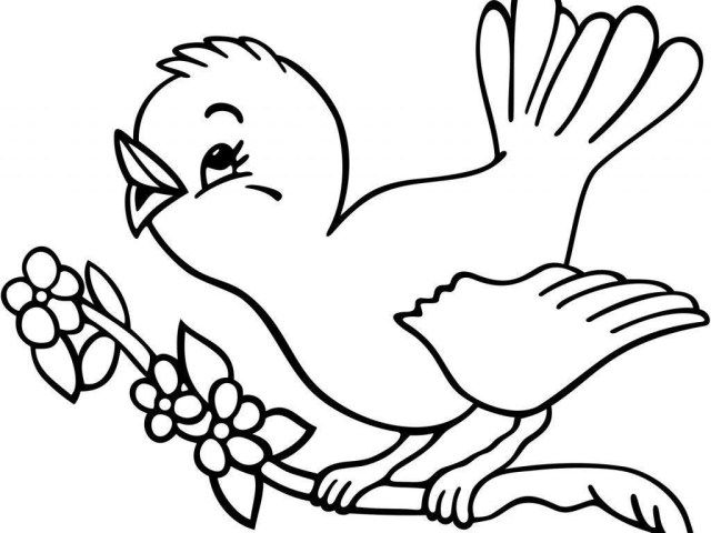 Best image of bird coloring page