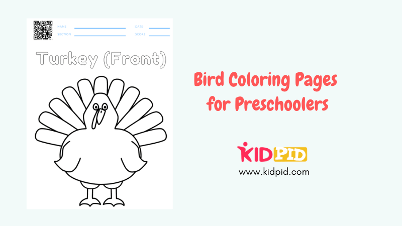 Bird coloring pages for preschoolers