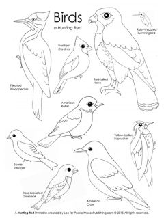 Bird printable coloring page bird coloring pages coloring pages birds