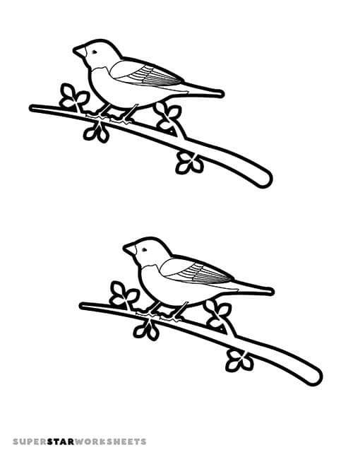 Bird template