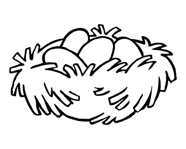 Bird nest coloring page royalty