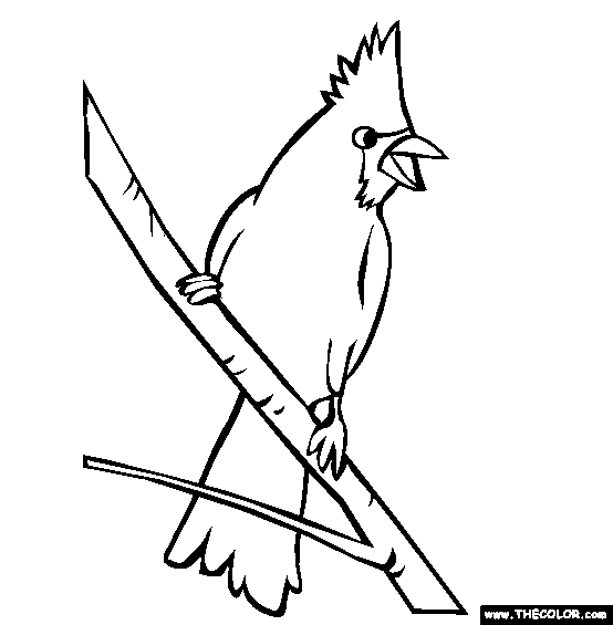 Bird online coloring pages