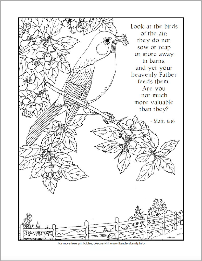 Look at the birds coloring page