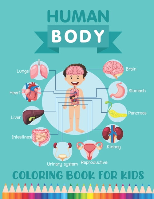 Human body coloring book for kids over human body parts coloring activity book