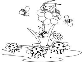 Insects and bugs coloring pages and printable activities