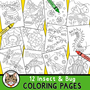 Insect and bug coloring pages for preschool kindergarten first grade