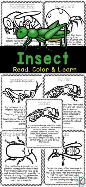 Ð free insects coloring pages for kids