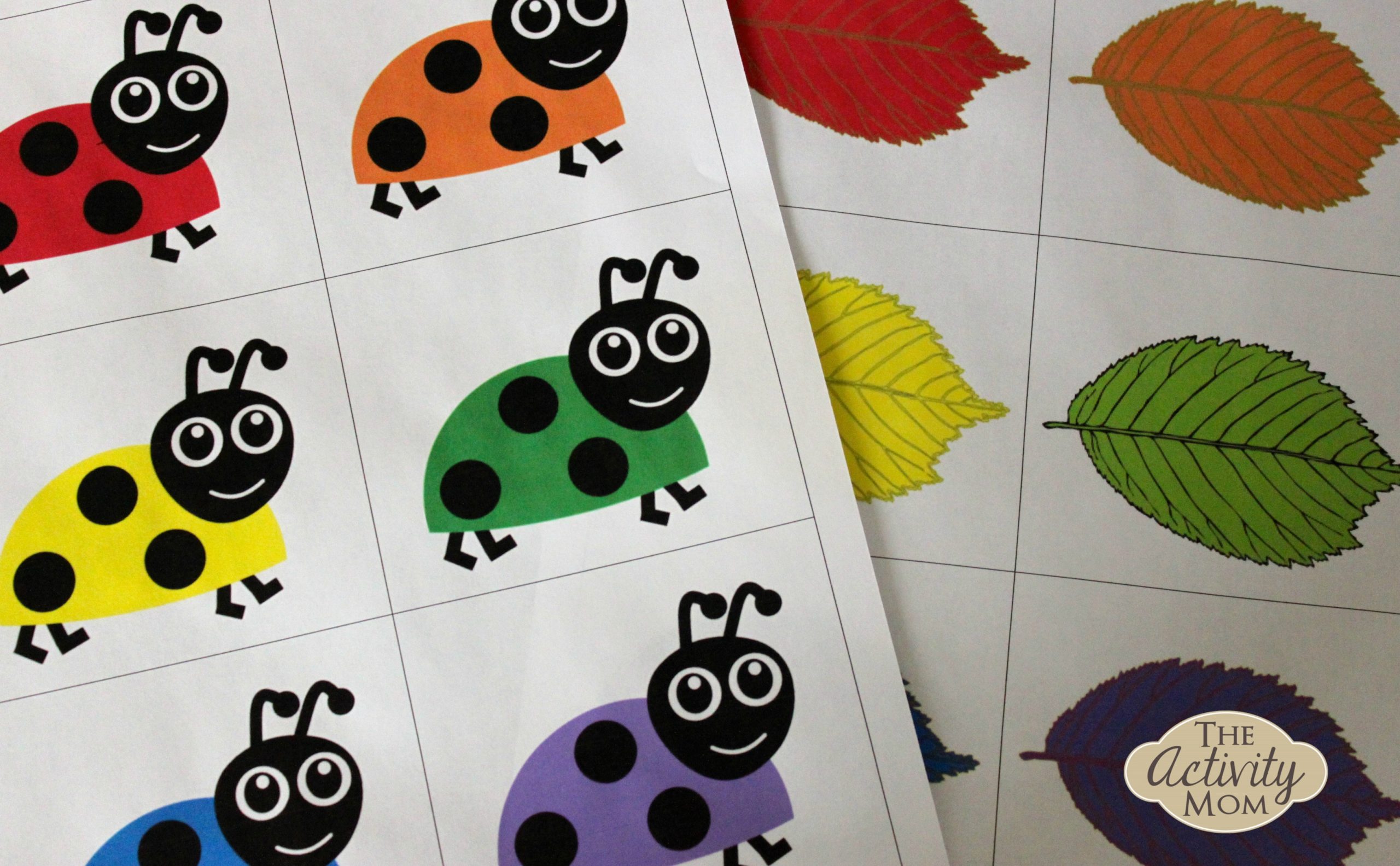 Bug color matching activity printable