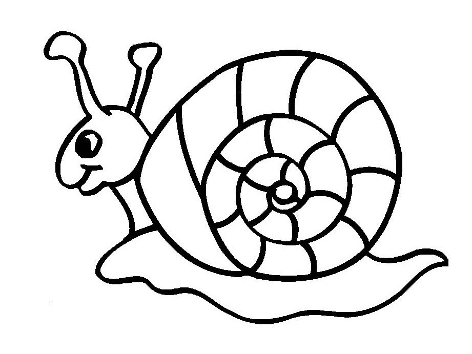 Insect coloring pages