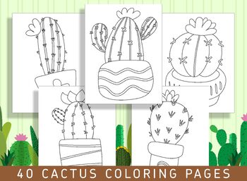 Cactus preschool tpt