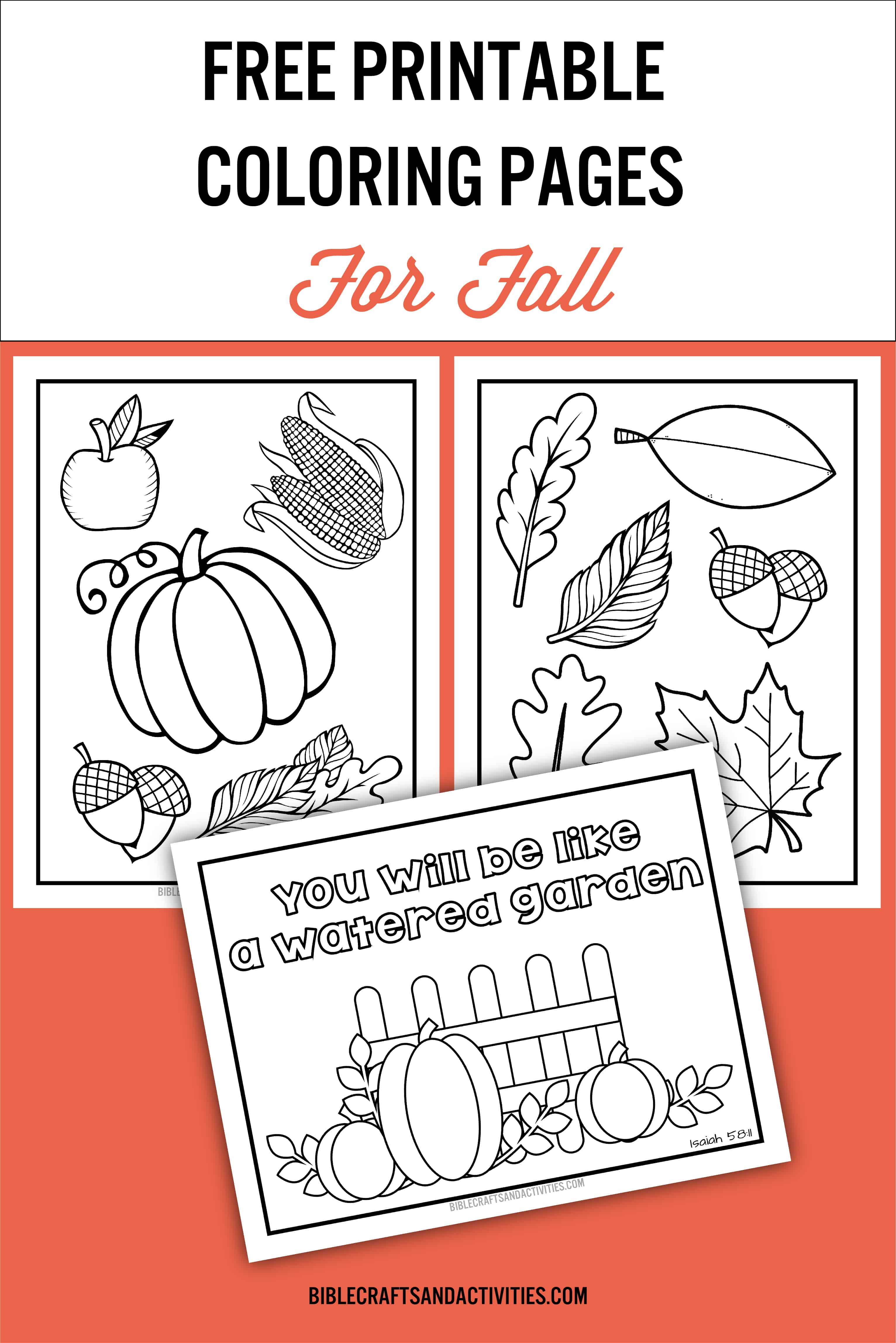 Fall coloring pages