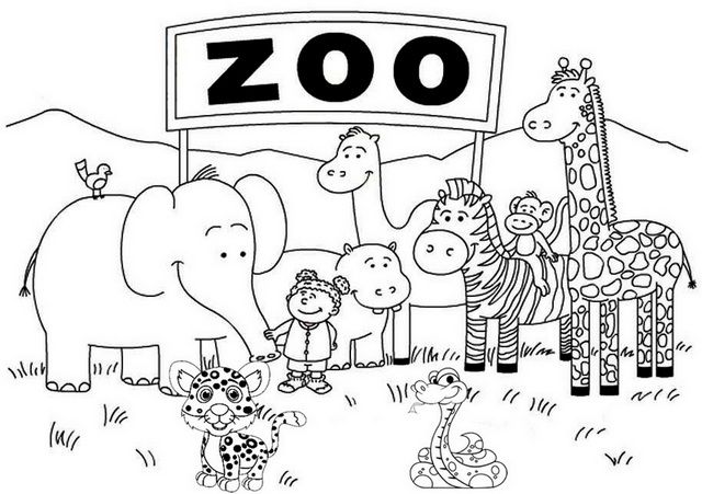 Six beautiful zoo coloring pages for children zoo coloring pages zoo animal coloring pages kindergarten coloring pages