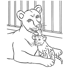 Top free printable zoo coloring pages online