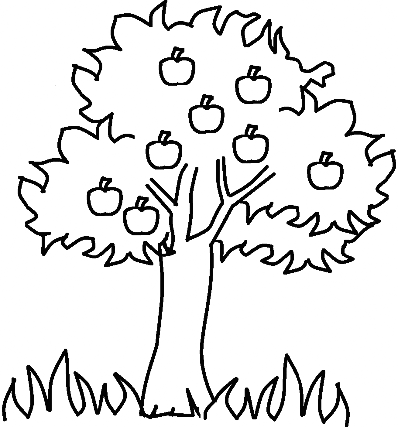Free printable tree coloring pages for kids