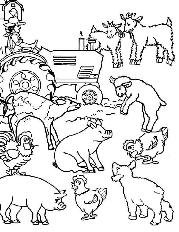 Coloringrocks farm animal coloring pages farm coloring pages animal coloring pages