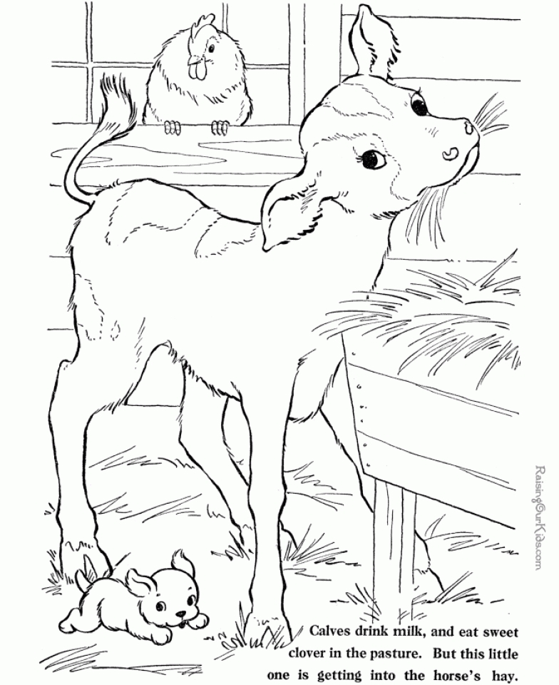 Get this preschool farm animal coloring pages to print nobi