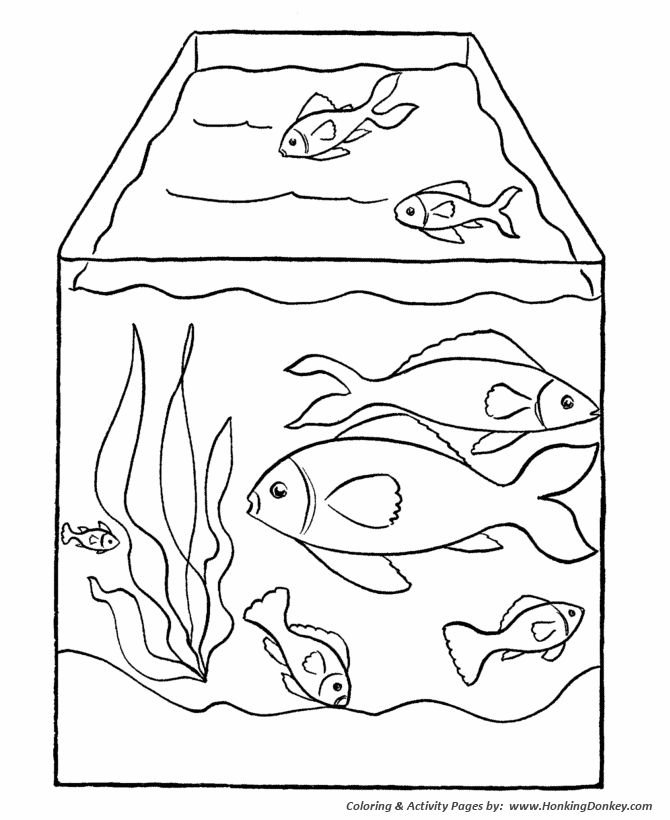 Pet fish coloring pages free printable pet fish in a tank coloring pages and activity sheets for pre