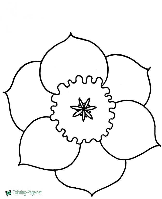 Preschool flower coloring pages